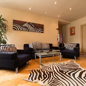 Zebra , Kraków Polska